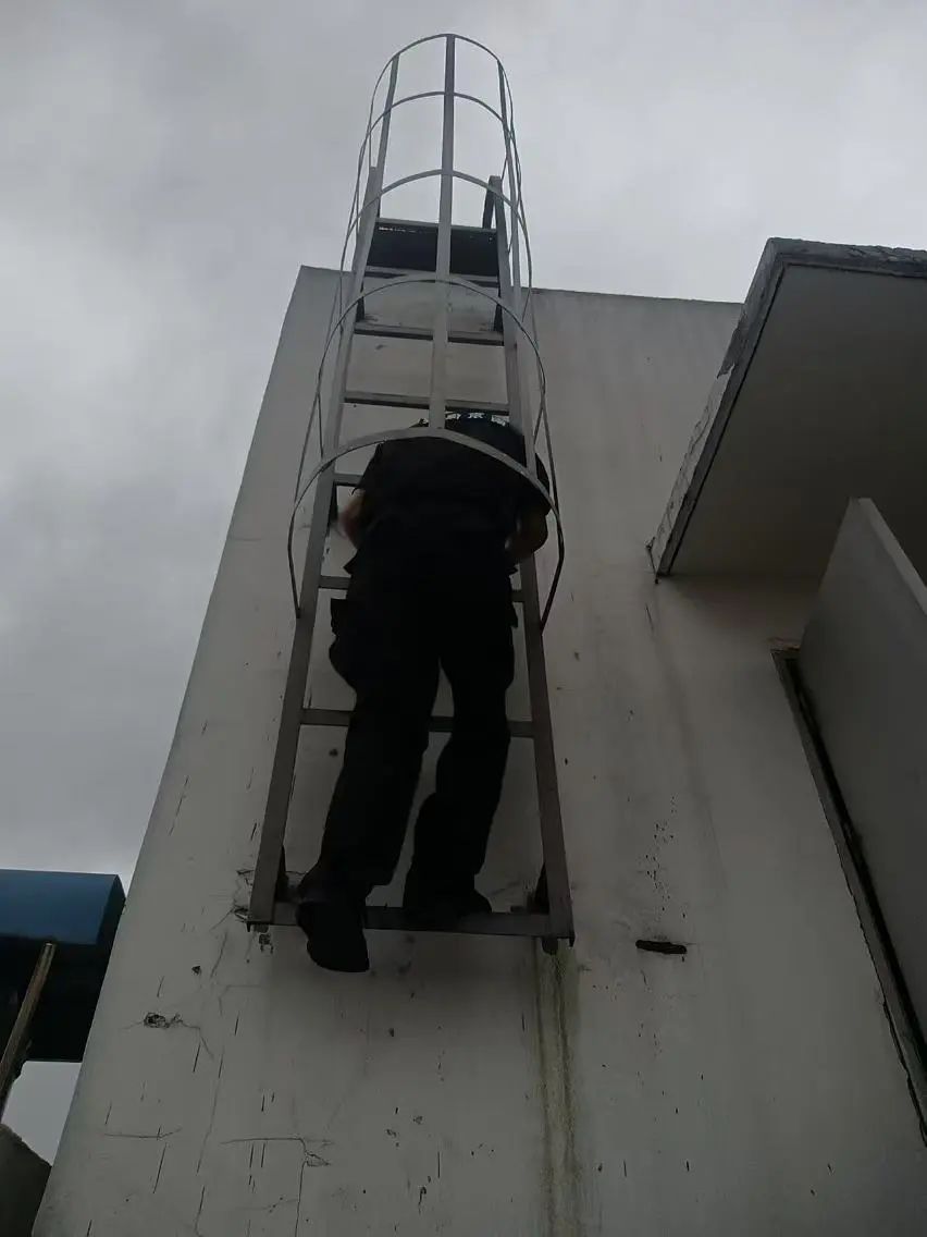 C:/Users/BA/Desktop/風(fēng)雨過后南京保安迅速行動，恢復(fù)安“寧”面貌/3.jpg3