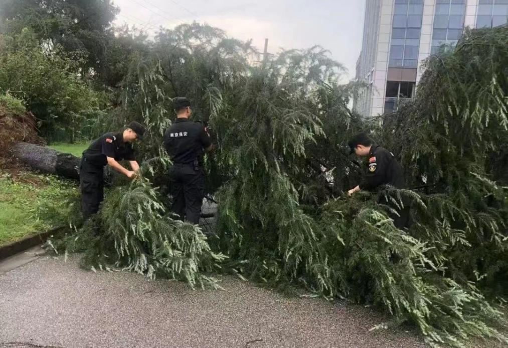 C:/Users/BA/Desktop/風(fēng)雨過后南京保安迅速行動，恢復(fù)安“寧”面貌/1.jpg1